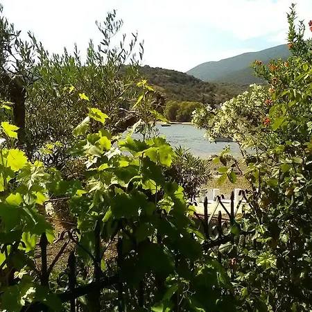 Lejlighed Al Mare Marathos (Thessaly)